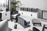 Durable VARICOLOR® 770657 Tijdschriftencassette DIN A4 Grijs, Meerdere kleuren 5 stuk(s) - thumbnail