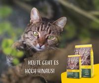 Schesir Hond Gelei Kip 150gr - thumbnail