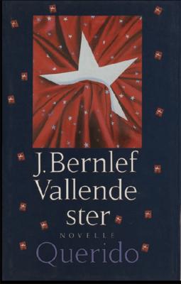 Vallende ster - J. Bernlef - ebook