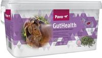 Pavo GutHealth - thumbnail