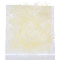 Schneider Electric NSYCAF125O Filtermat (b x h) 170 mm x 150 mm 5 stuk(s) - thumbnail