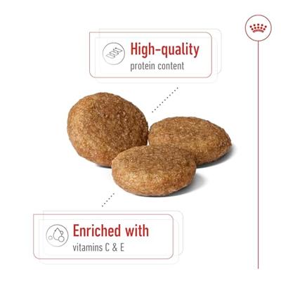 Royal Canin C-08402 S.N. Middelgrote volwassene - 4 kg