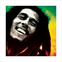 Kunstdruk Bob Marley - Paint 40x40cm - thumbnail