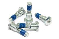 TRW bouten set screw set 5pcs. m8x1,25 - thumbnail