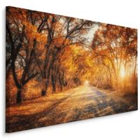 Schilderij - Weg door het Herfst Bos, Premium Print, 5 maten - thumbnail