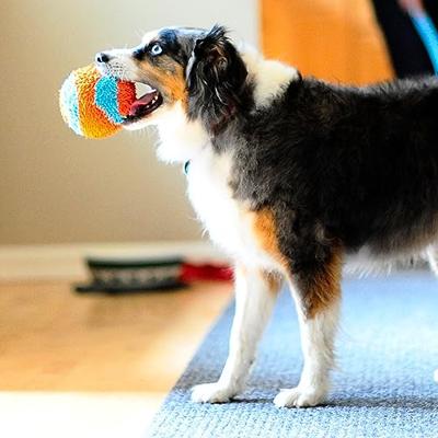 CHUCKIT INDOOR BALL 11,5X11,5X11,5 CM - thumbnail