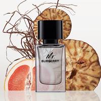 Burberry Mr. Burberry Eau de Toilette 100ml - thumbnail
