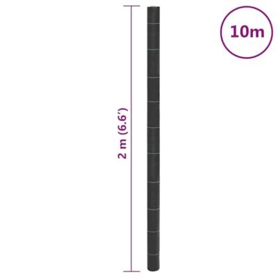 VidaXL Worteldoek 2x10 m polypropeen zwart - thumbnail