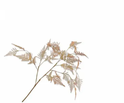 Silk-ka kunsttak asparagus 113cm oranje