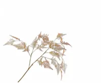 Silk-ka kunsttak asparagus 113cm oranje - thumbnail