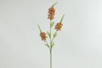 Decostar Countryfield Kunstbloem Eremurus bruin-L5B20H94CM - thumbnail