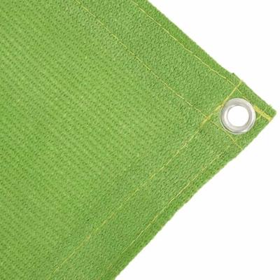 VidaXL Tenttapijt 250x500 cm hdpe lichtgroen