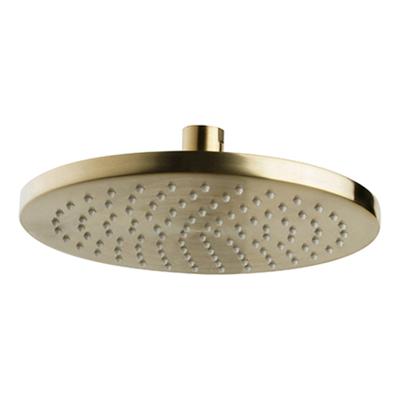 Caral hoofddouche rond 20 x 1,2 cm geborsteld messing