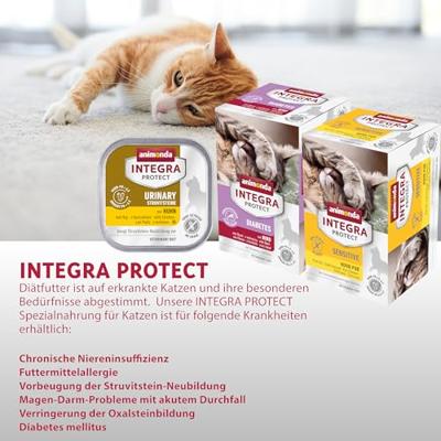 ANIMONDA Integra Protect Intestinal Turkey with rice - nat kattenvoer - 100g