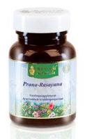 Maharishi Ayurv Prana rasayana/MA 1405 20 Tabletten - thumbnail