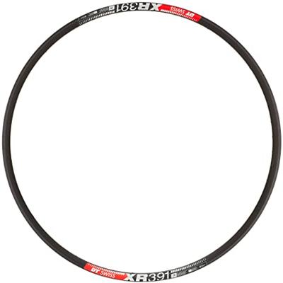 DT Swiss XR 391 29" Disc Rim