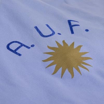 COPA Uruguay 1970&apos;s Retro Voetbalshirt Blauw Wit - thumbnail