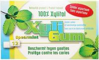 Xyligum Kauwgom Spearmint - thumbnail