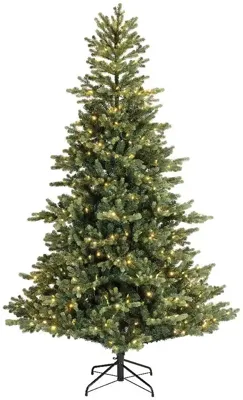 Everlands Geneva fir klassiek verlichte kunstkerstboom met groen 225cm, 600 lampjes