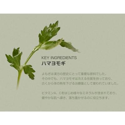 Beauty Of Joseon Matte Sun Stick Mugwort + Camelia 18 g Zonbescherming Dames
