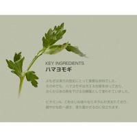 Beauty Of Joseon Matte Sun Stick Mugwort + Camelia 18 g Zonbescherming Dames - thumbnail