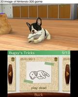Nintendogs + Cats Toy Poodle (Nintendo Selects) - thumbnail