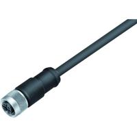 binder 77 3530 0000 50704-0200-20 Sensor/actuator connector, geassembleerd Aantal polen (sensoren): 4 Bus, recht 2 m 1 stuk(s) - thumbnail