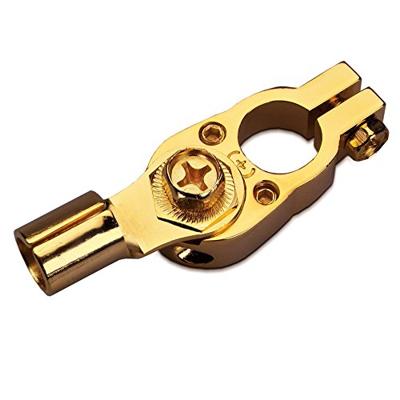 Sinuslive BK 1+ Accupoolklem Pluspool Verguld 1 stuk(s) Sinuslive BK 1+ Accupoolklem Pluspool Verguld 1 stuk(s)