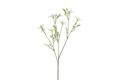 Decostar zijdebloem Cosmos iriserend 76 cm crème
