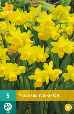 Bloembollen Narcissus Tête-à-Tête 5st