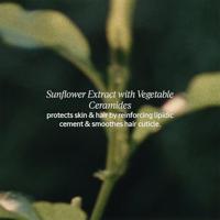 L'Occitane Aromachology Après-Shampooing Réparateur - thumbnail