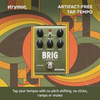 Strymon Brig dBucket Delay effectpedaal - thumbnail