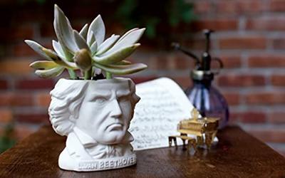 UPG Planter - Ludwig von Beethoven UPG Planter - Ludwig von Beethoven