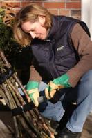 tesa 04668-00004-01 Reparatietape tesa Professional Transparant (l x b) 33 m x 50 mm 1 stuk(s) - thumbnail