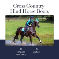 Le Mieux Carbon Air XC boots hind zwart maat:l - thumbnail
