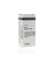 VSM Sepia officinalis LM6 (4 gr) - thumbnail