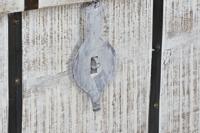 Kist DKD Home Decor Metaal Wit Mangohout (116 x 40 x 45 cm) - thumbnail