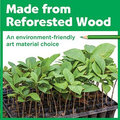 Faber Castell FC-115886 Kleurpotlood Faber-Castell Castle Zeskantig Metalen Etui Met 36 Stuks