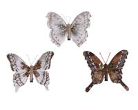 Vlinder veer clip l12h10 cm assorti 3st kerst Decoris - Decoris - thumbnail