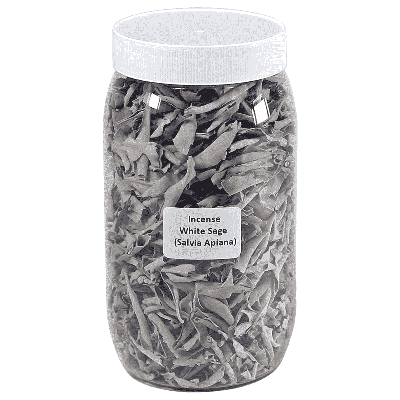 Wierook Witte Salie (Salvia Apiana) in Pot