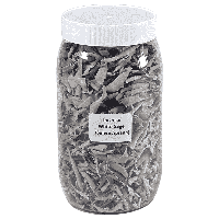 Wierook Witte Salie (Salvia Apiana) in Pot - thumbnail