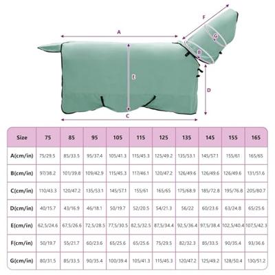 VidaXL Paardendeken speciale groen polyester