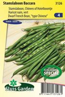 Stamslaboon Baccara - thumbnail