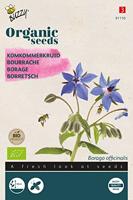 Organic Komkommerkruid (Bio) zaden Buzzy - Buzzy - thumbnail
