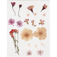 Creativ Company Gedroogde bloemen en bladeren, ca. 19 stuk, lichtroze, 1 doos - thumbnail