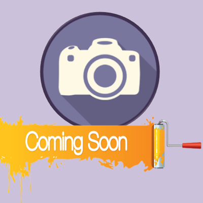 Wierookharsen Showdoos 12 Soorten (Nieuwe Samenstelling)