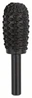 Bosch Accessoires Houtrasp | Concaaf | 15 x 55 mm - 2609255297 - thumbnail