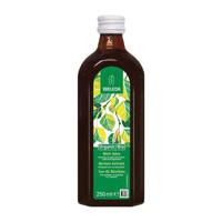 Weleda Berken extract bio (250 ml) - thumbnail
