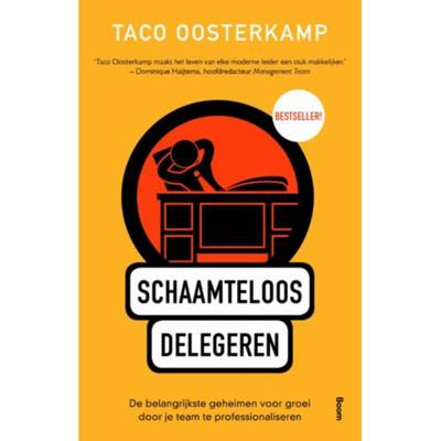 Schaamteloos delegeren (Paperback)