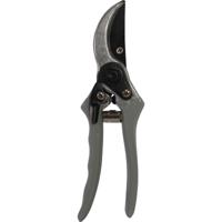 Snoeischaar met papegaaibek grijs - thumbnail